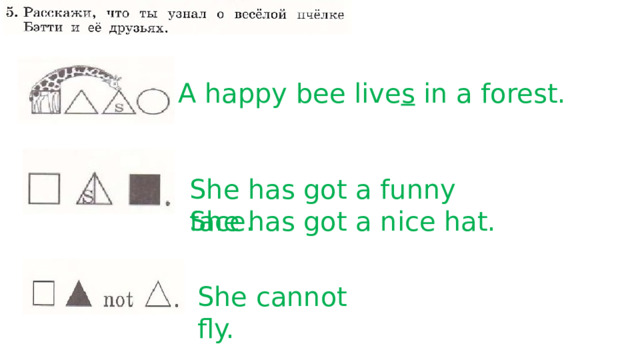 A happy bee live s in a forest. She has got a funny face. She has got a nice hat. She cannot fly.