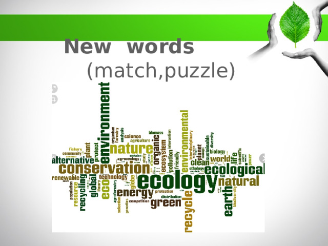 New words (match,puzzle)