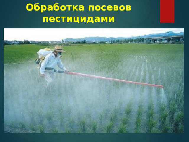 Обработка посевов пестицидами