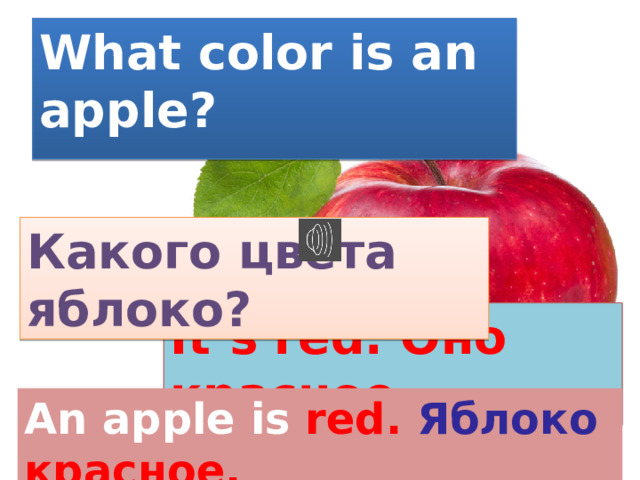 What color is an apple?   Какого цвета яблоко? It’s red. Оно красное. An apple is red. Яблоко красное.