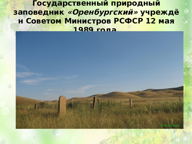 Государственный природный заповедник  «Оренбургский»  учреждён Советом Министров РСФСР 12 мая 1989 года.