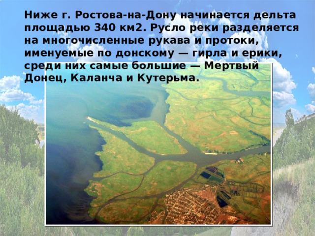 Ниже г. Ростова-на-Дону начинается дельта площадью 340 км2. Русло реки разделяется на многочисленные рукава и протоки, именуемые по донскому — гирла и ерики, среди них самые большие — Мертвый Донец, Каланча и Кутерьма.