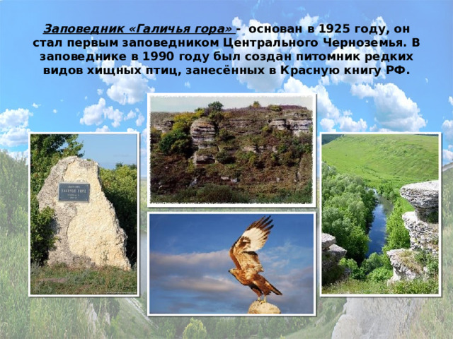 Заповедник «Галичья гора» - основан в 1925 году, он стал первым заповедником Центрального Черноземья. В заповеднике в 1990 году был создан питомник редких видов хищных птиц, занесённых в Красную книгу РФ.