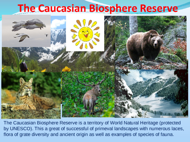 The Caucasian Biosphere Reserve is a territory of World Natural Heritage (protected by UNESCO). This a great of successful of primeval landscapes with numerous laces, flora of grate diversity and ancient origin as well as examples of species of fauna.