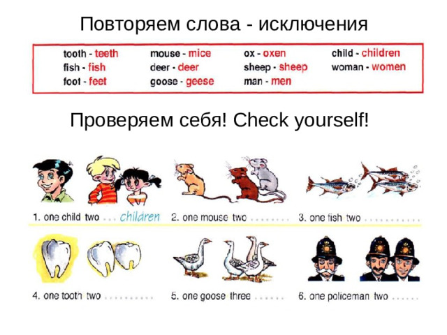 Повторяем слова - исключения Проверяем себя! Check yourself!