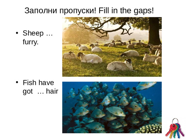 Заполни пропуски! Fill in the gaps!