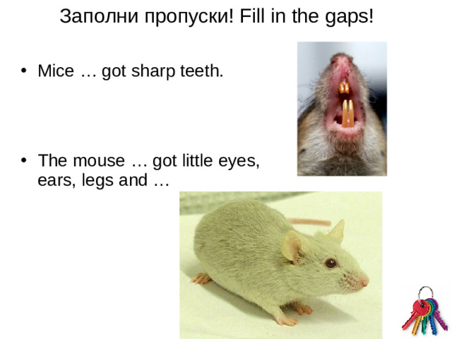 Заполни пропуски! Fill in the gaps!