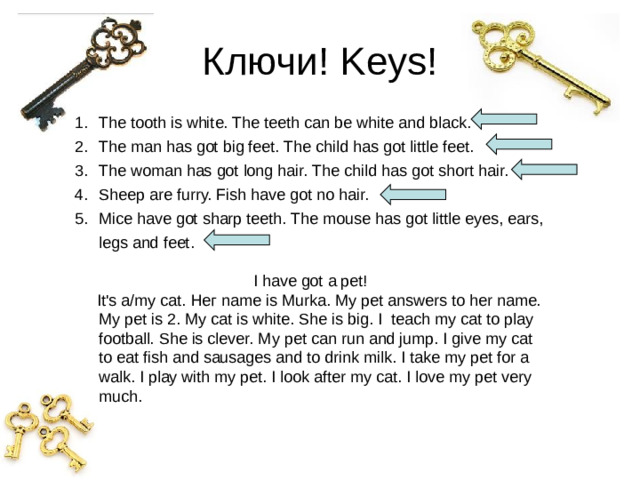 Ключи! Keys! The tooth is white. The teeth can be white and black. The man has got big feet. The child has got little feet. The woman has got long hair. The child has got short hair. Sheep are furry. Fish have got no hair. Mice have got sharp teeth. The mouse has got little eyes, ears, legs and feet. I have got a pet!  It's a/my саt. Нег nаmе is Murka. Mу pet answers to her name. Mу pet is 2. Му cat is white. She is big. I  teach mу cat to play football. She is clever. Му pet can run and jump. I give my cat to eat fish and sausages and to drink milk. I take my pet for a walk. I plау with my pet. I look after mу cat. I love my pet very much.