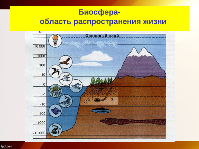 Биосфера-  область распространения жизни