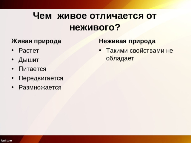 Чем живое отличается от неживого? Живая природа Неживая природа