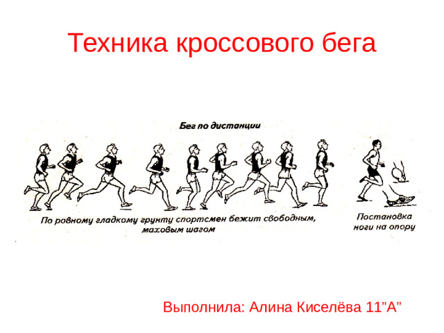 Техника кроссового бега           Выполнила: Алина Киселёва 11”A”