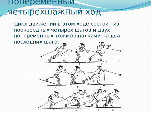 Попеременный четырехшажный ход Цикл движений в этом ходе состоит из поочередных четырех шагов и двух попеременных толчков палками на два последних шага.