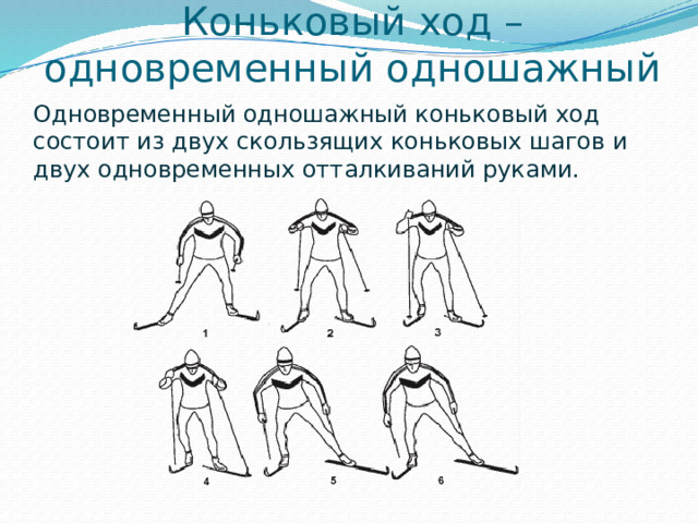 Коньковый ход – одновременный одношажный Одновременный одношажный коньковый ход состоит из двух скользящих коньковых шагов и двух одновременных отталкиваний руками.