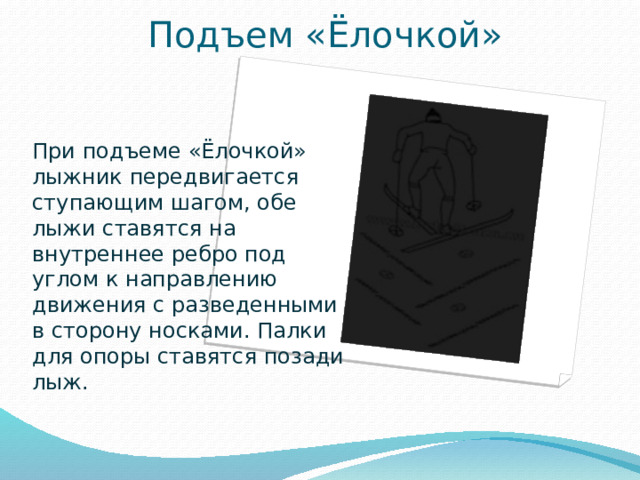 Подъем «Ёлочкой» Вставка рисунка При подъеме «Ёлочкой» лыжник передвигается ступающим шагом, обе лыжи ставятся на внутреннее ребро под углом к направлению движения с разведенными в сторону носками. Палки для опоры ставятся позади лыж.