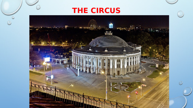 The Circus