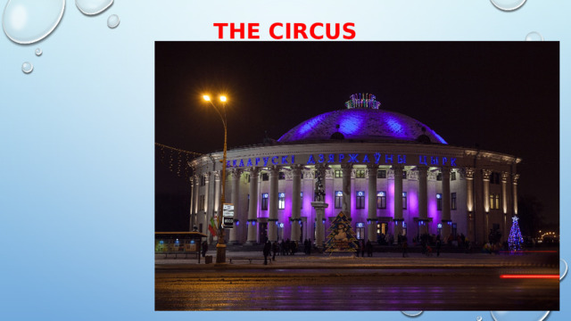 The Circus