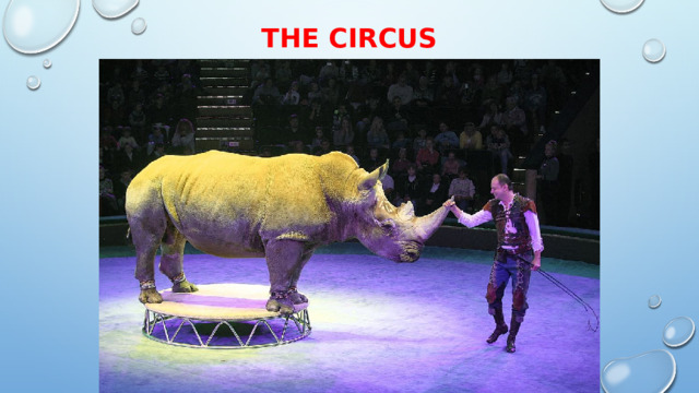 The Circus