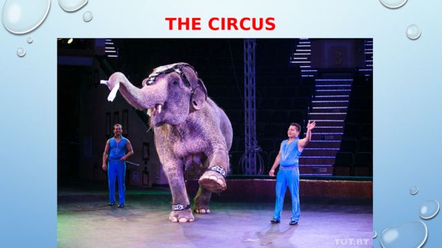 The Circus