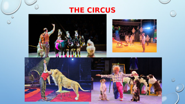 The Circus