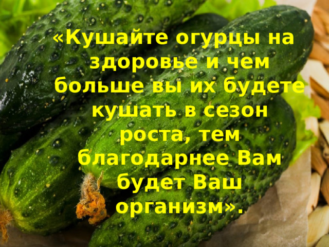 «Кушайте огурцы на здоровье и чем больше вы их будете кушать в сезон роста, тем благодарнее Вам будет Ваш организм».