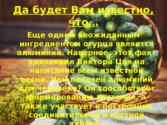 Да будет Вам известно, что… Еще одним неожиданным ингредиентом огурца является алюминий. Наверное, этот факт вдохновил Виктора Цоя на написание всем известной песни. Чем полезен алюминий для человека? Он способствует формированию эпителия, а также участвует в построении соединительной и костной тканей.