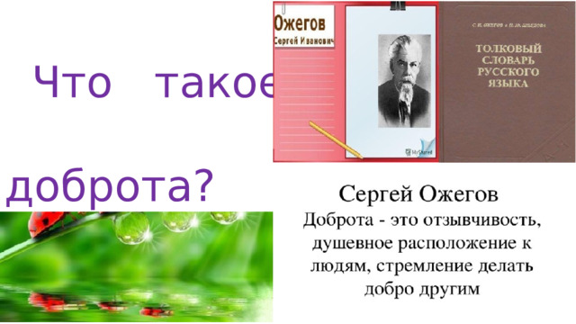 Что такое доброта?