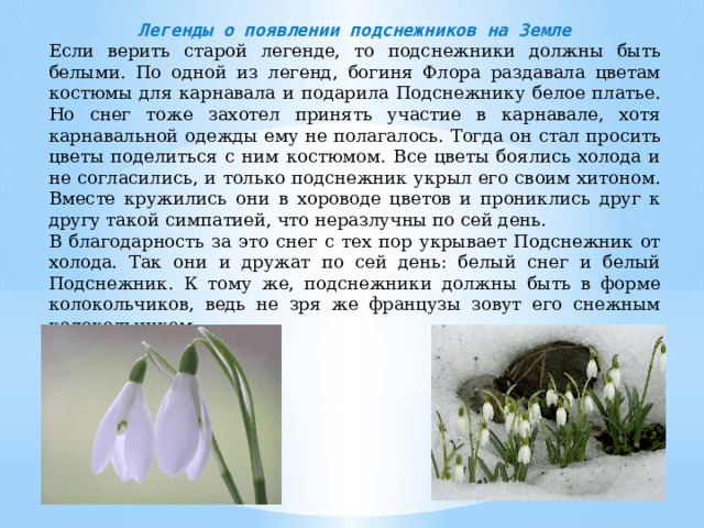 Легенды о появлении подснежников на Земле Если верить старой легенде, то подснежники должны быть белыми. По одной из легенд, богиня Флора раздавала цветам костюмы для карнавала и подарила Подснежнику белое платье. Но снег тоже захотел принять участие в карнавале, хотя карнавальной одежды ему не полагалось. Тогда он стал просить цветы поделиться с ним костюмом. Все цветы боялись холода и не согласились, и только подснежник укрыл его своим хитоном. Вместе кружились они в хороводе цветов и прониклись друг к другу такой симпатией, что неразлучны по сей день. В благодарность за это снег с тех пор укрывает Подснежник от холода. Так они и дружат по сей день: белый снег и белый Подснежник. К тому же, подснежники должны быть в форме колокольчиков, ведь не зря же французы зовут его снежным колокольчиком.