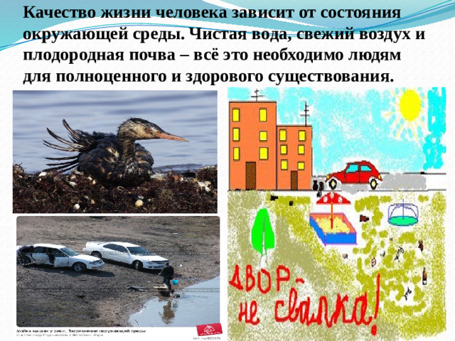 Качество жизни человека зависит от состояния окружающей среды. Чистая вода, свежий воздух и плодородная почва – всё это необходимо людям для полноценного и здорового существования.