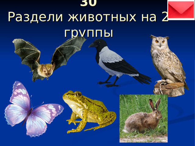 30  Раздели животных на 2 группы