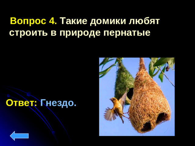 Вопрос 4. Такие домики любят строить в природе пернатые Ответ:  Гнездо.