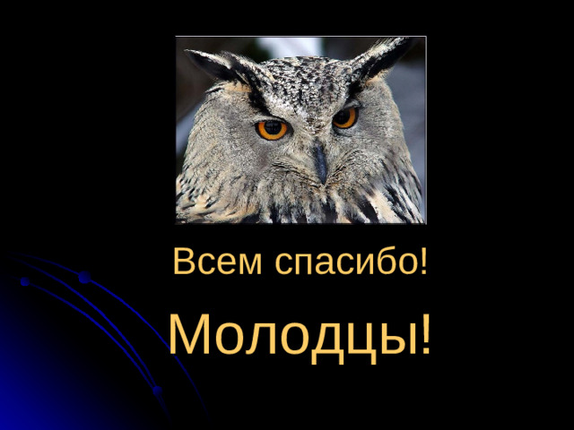 Всем спасибо! Молодцы!
