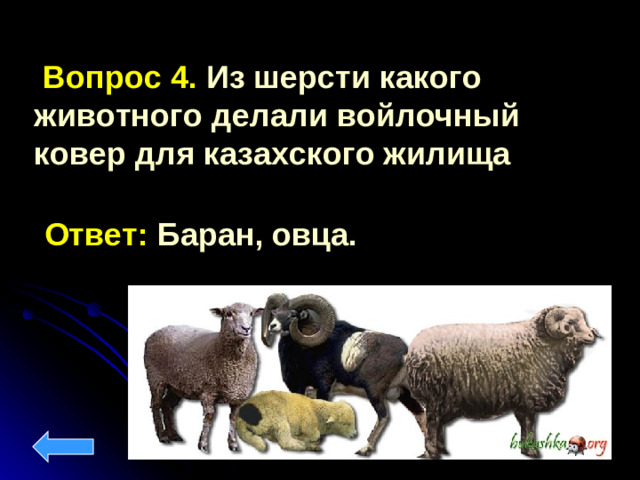 Вопрос 4. Из шерсти какого животного делали войлочный ковер для казахского жилища Ответ: Баран, овца.