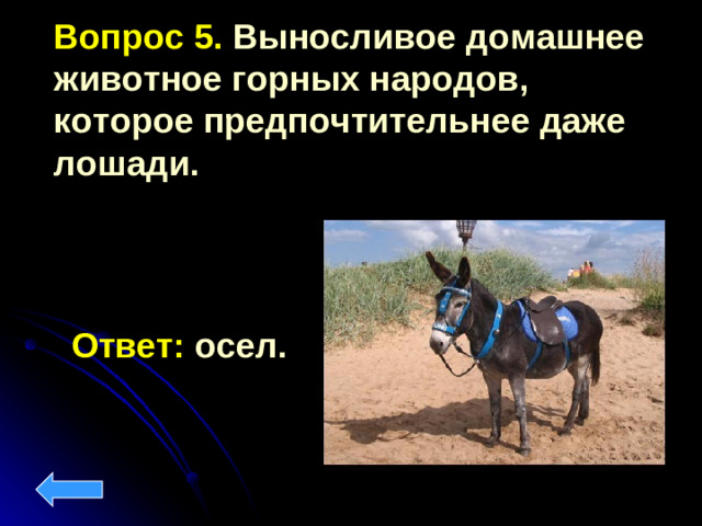 Вопрос 5. Выносливое домашнее животное горных народов, которое предпочтительнее даже лошади. Ответ: осел.