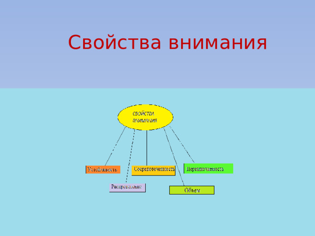 Свойства внимания