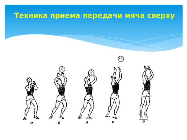 Техника приема передачи мяча сверху