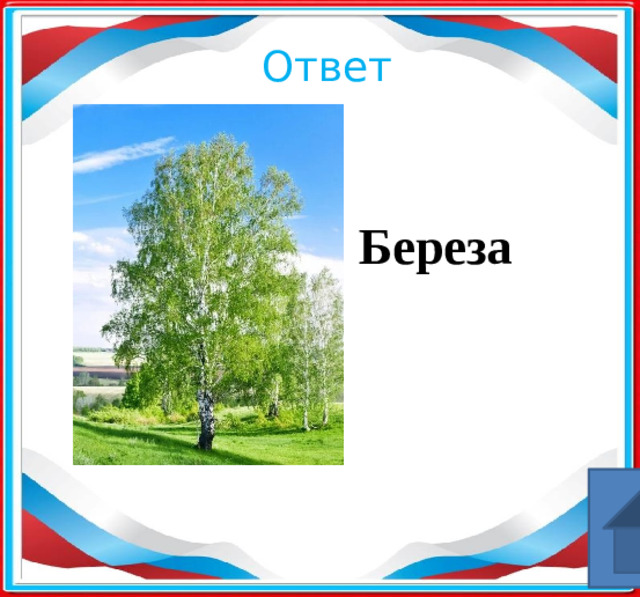 Ответ Береза ​