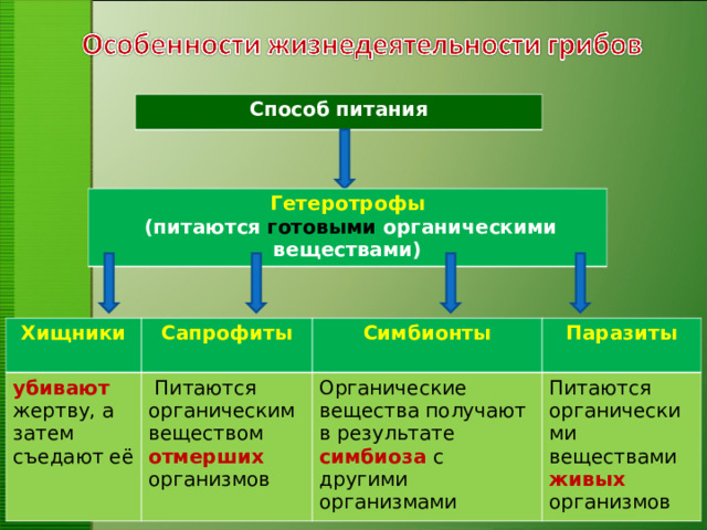 Способ  питания Гетеротрофы  (питаются готовыми органическими веществами) Хищники Сапрофиты  убивают жертву , а затем съедают её Симбионты   Питаются органическим веществом отмерших организмов Паразиты Органические вещества получают в результате симбиоза с другими организмами Питаются органическими веществами живых организмов