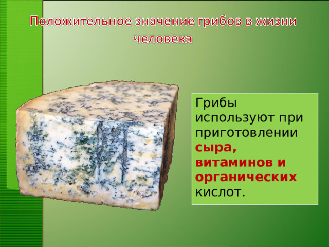 Грибы используют при приготовлении сыра,  витаминов  и  органических  кислот.