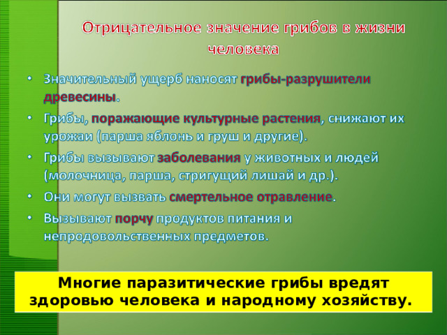 Многие паразитические грибы вредят здоровью человека и народному хозяйству.