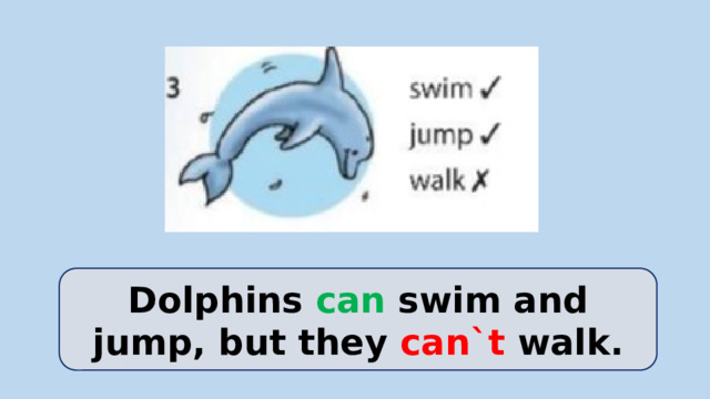 Dolphins can swim and jump, but they can`t walk.