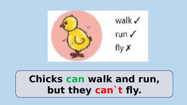 Chicks can walk and run, but they can`t fly.