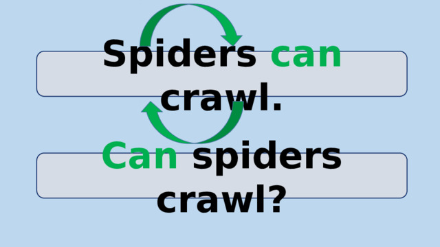 Spiders can crawl. Can spiders crawl?