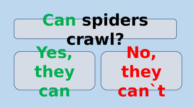Can spiders crawl? Yes, they can No, they can`t