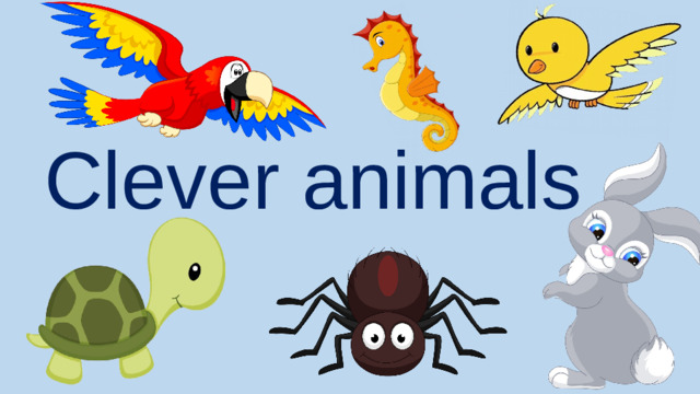 Clever animals