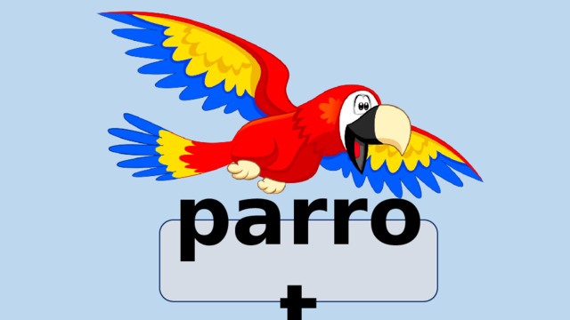 parrot