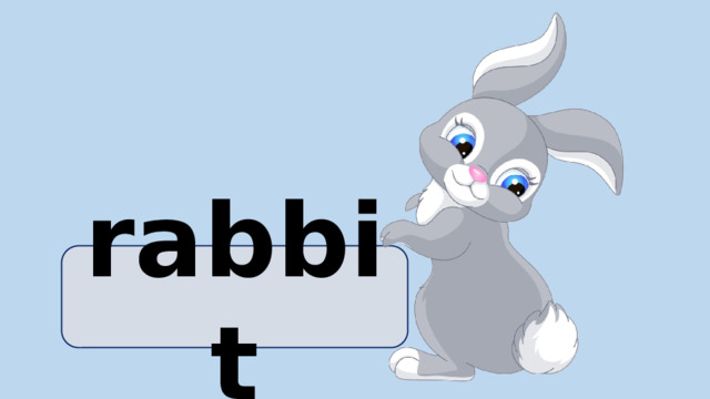 rabbit