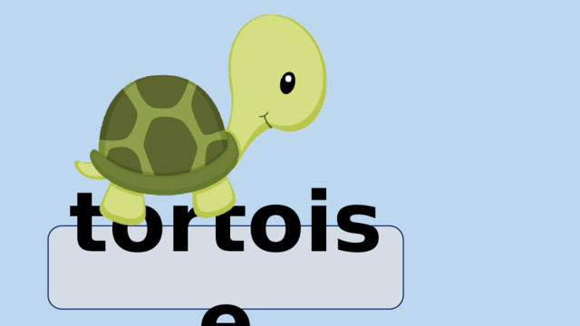 tortoise