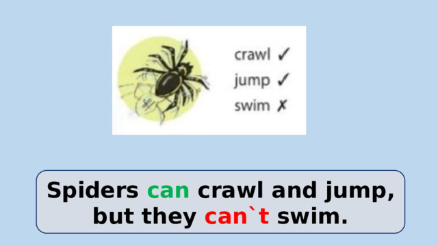 Spiders can crawl and jump, but they can`t swim.