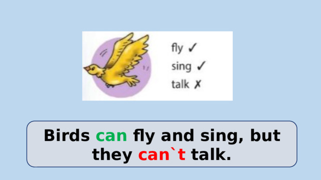 Birds can fly and sing, but they can`t talk.