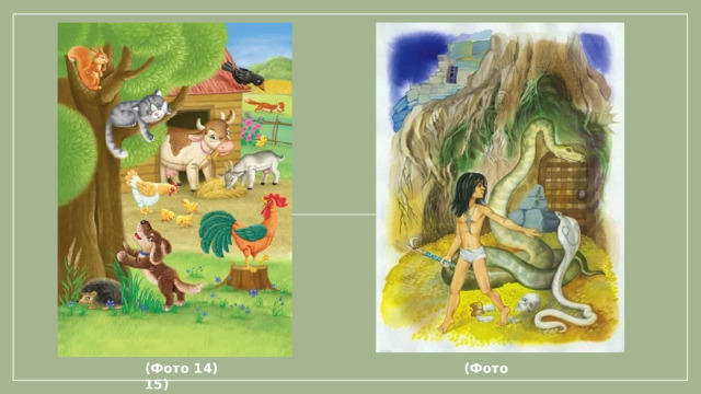 (Фото 14) (Фото 15)